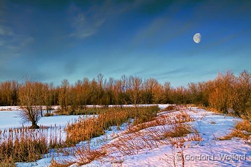 Richmond Lagoons At Sunrise_14474.jpg - Photographed at the Richmond Lagoons near Richmond, Ontario, Canada.